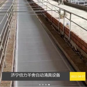 羊舍自動清糞設(shè)備